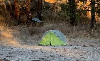 Brian L.'s photo at Hog Lake Campground near Glenwood, WA