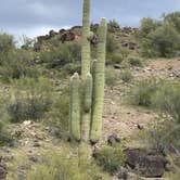 Review photo of Burro Creek Campground by Bill Y., April 1, 2020