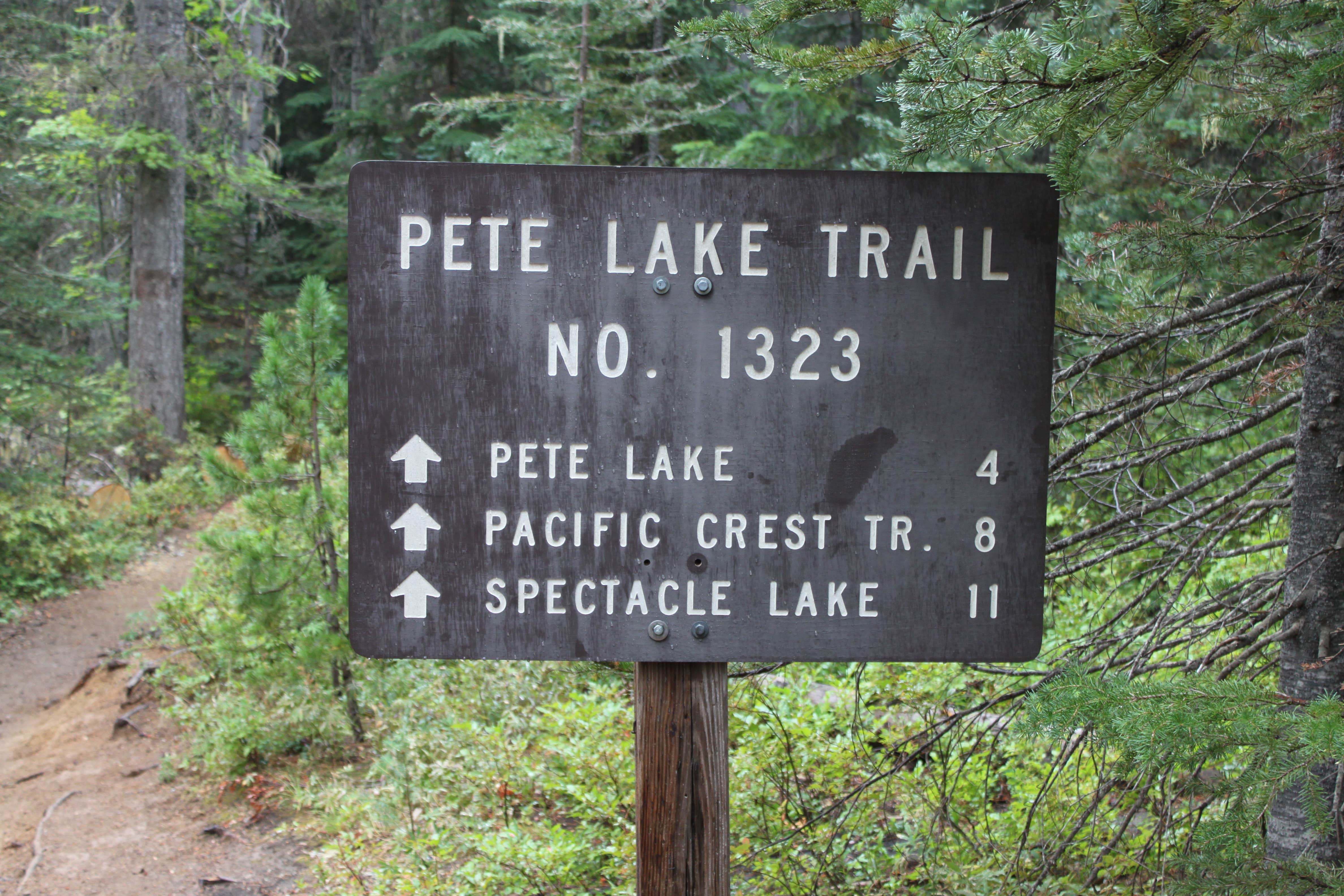 Camper submitted image from Pete Lake Backcountry Camping - 2