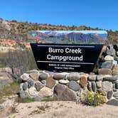 Review photo of Burro Creek Campground by Bill Y., April 1, 2020