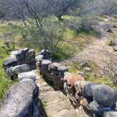 Review photo of Burro Creek Campground by Bill Y., April 1, 2020