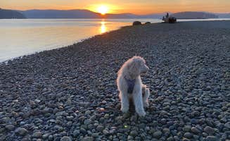 Oleg S.'s photo of camping with pets at Thousand Trails La Conner near Oak Harbor, WA