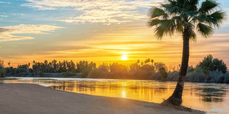 Camper submitted image from Arizona Oasis RV Resort