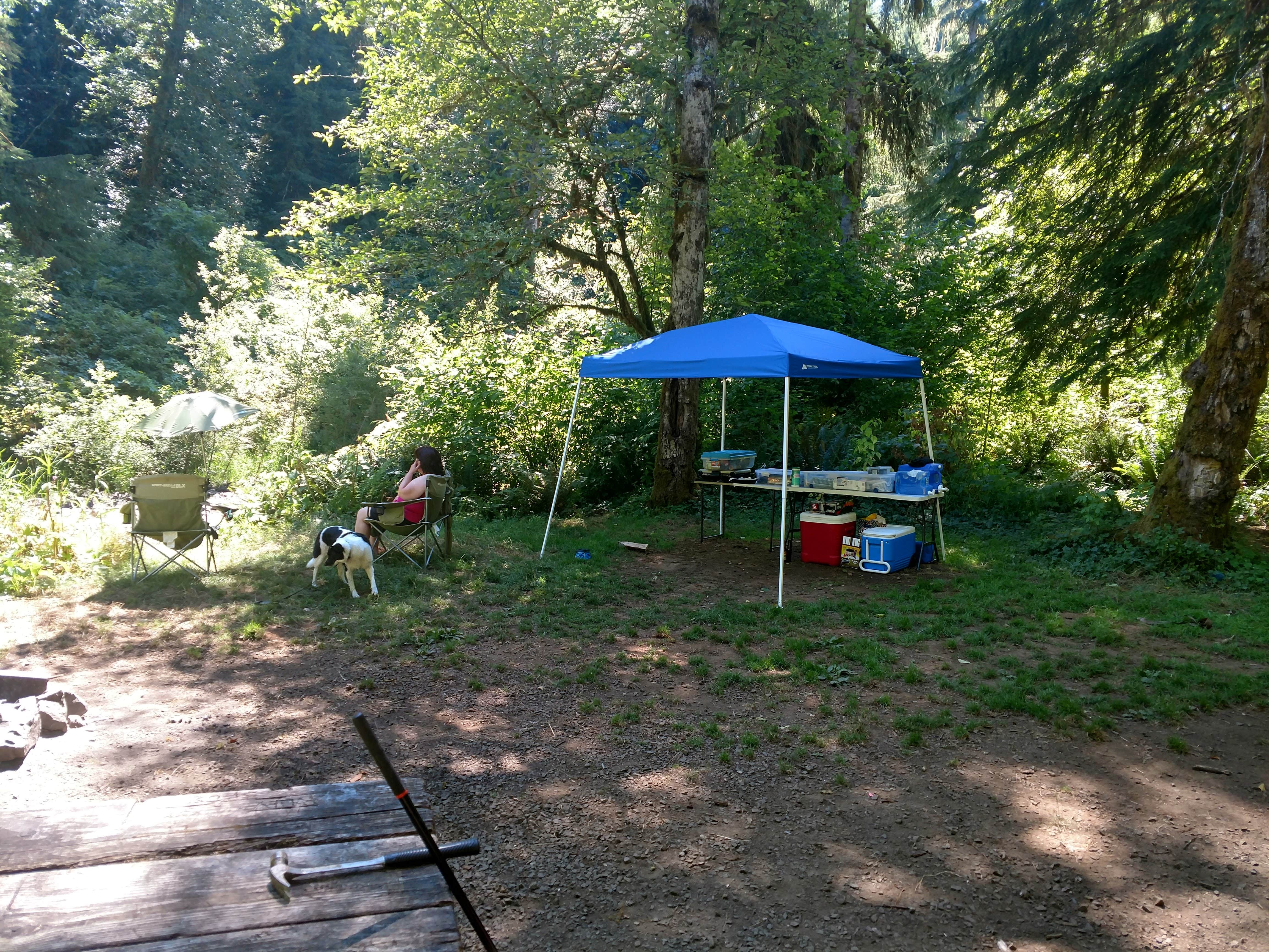 Camper submitted image from Porter Creek - 4