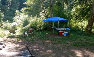 SIMPLEGRINN A.'s photo of camping with pets at Porter Creek near Olympia, WA