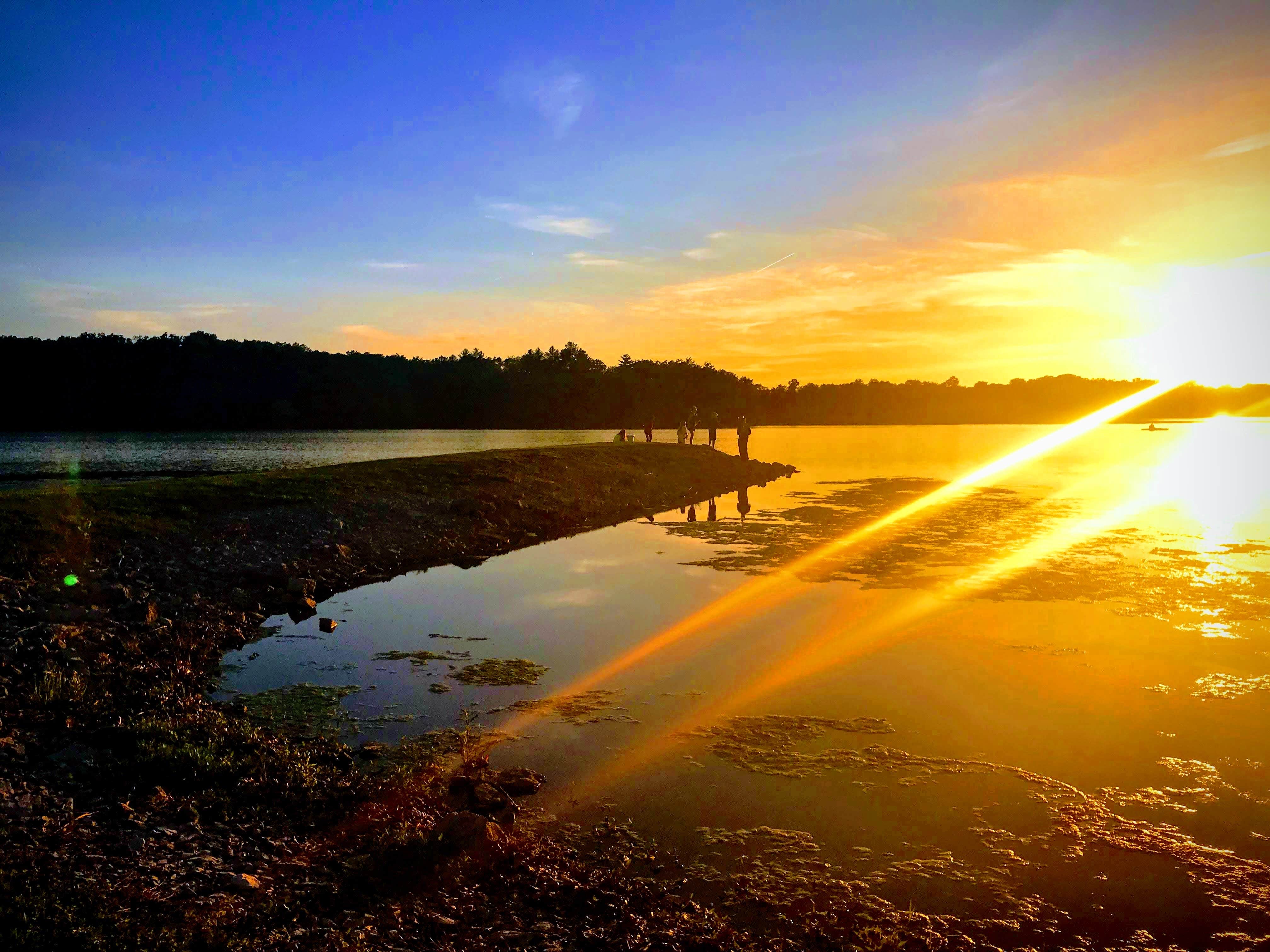 Camper submitted image from Henry Sever Lake Conservation Area - 2