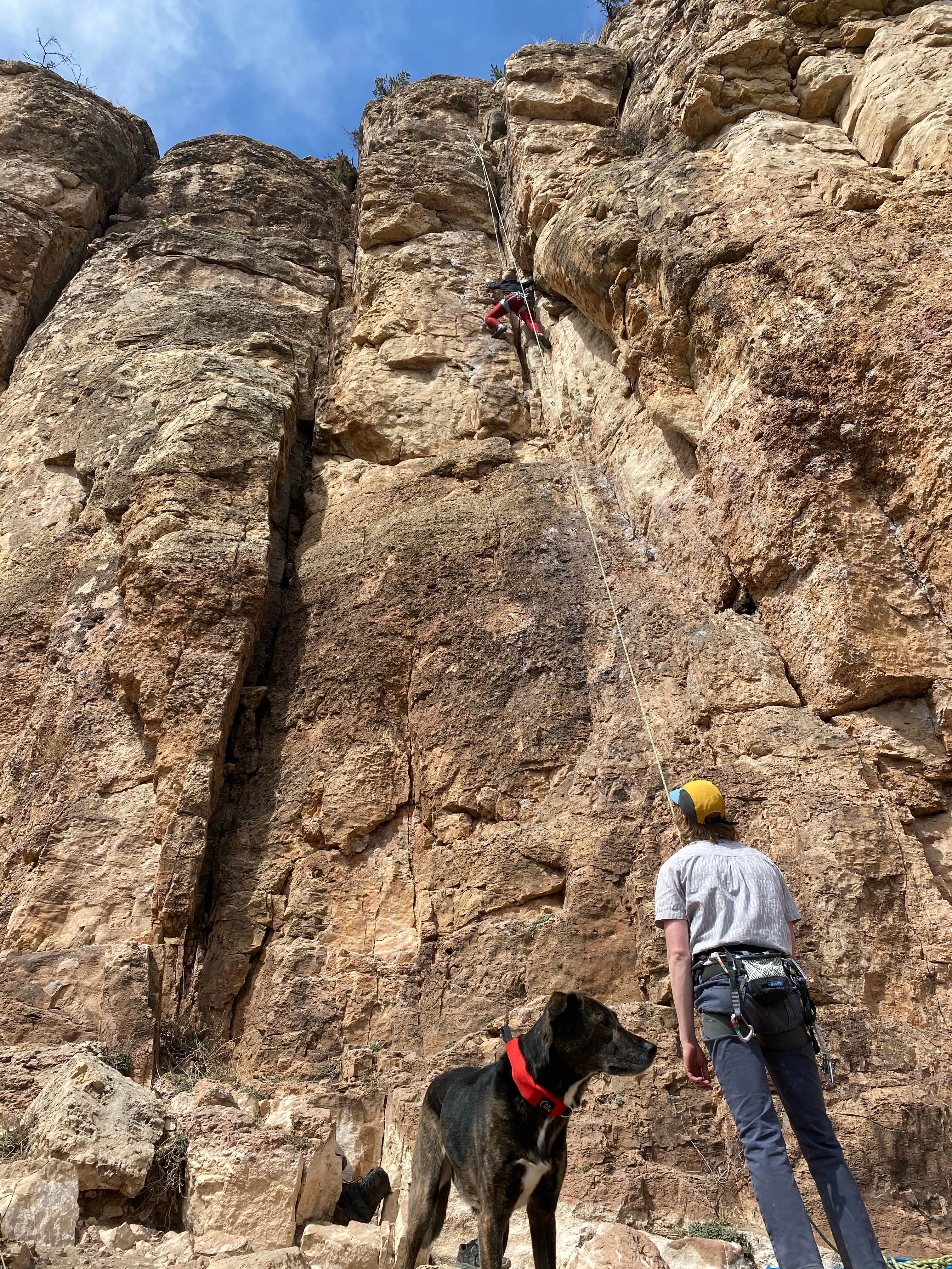 Graham  K.'s photo of camping with pets at The Bank Campground near Florence, CO