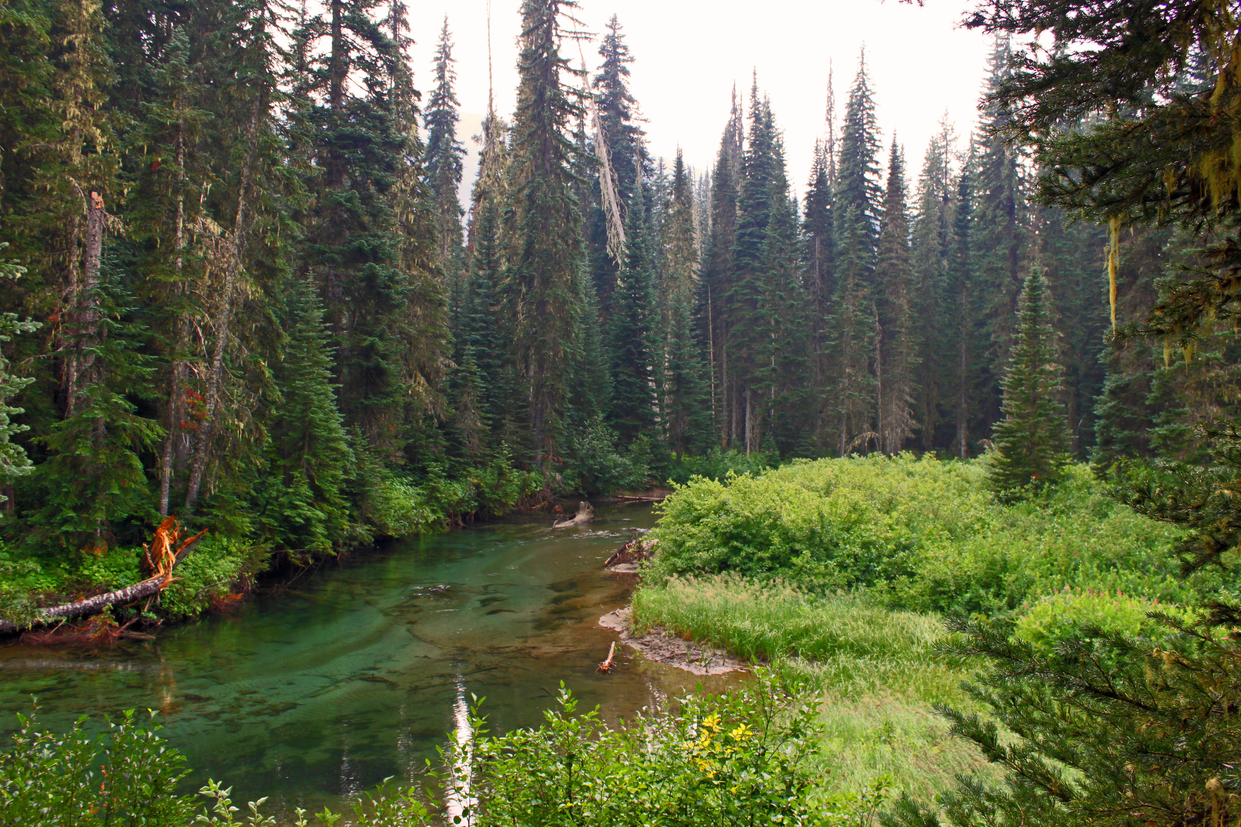 Camper submitted image from Pete Lake Backcountry Camping - 1