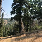 Review photo of Tehachapi Mountain Park by Ashley S., April 2, 2020