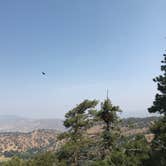 Review photo of Tehachapi Mountain Park by Ashley S., April 2, 2020