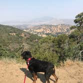 Review photo of Tehachapi Mountain Park by Ashley S., April 2, 2020