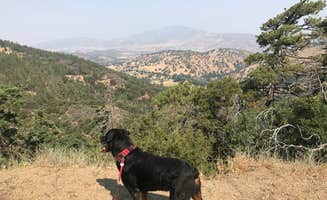 Ashley S.'s photo of camping with pets at Tehachapi Mountain Park near Greenfield, CA