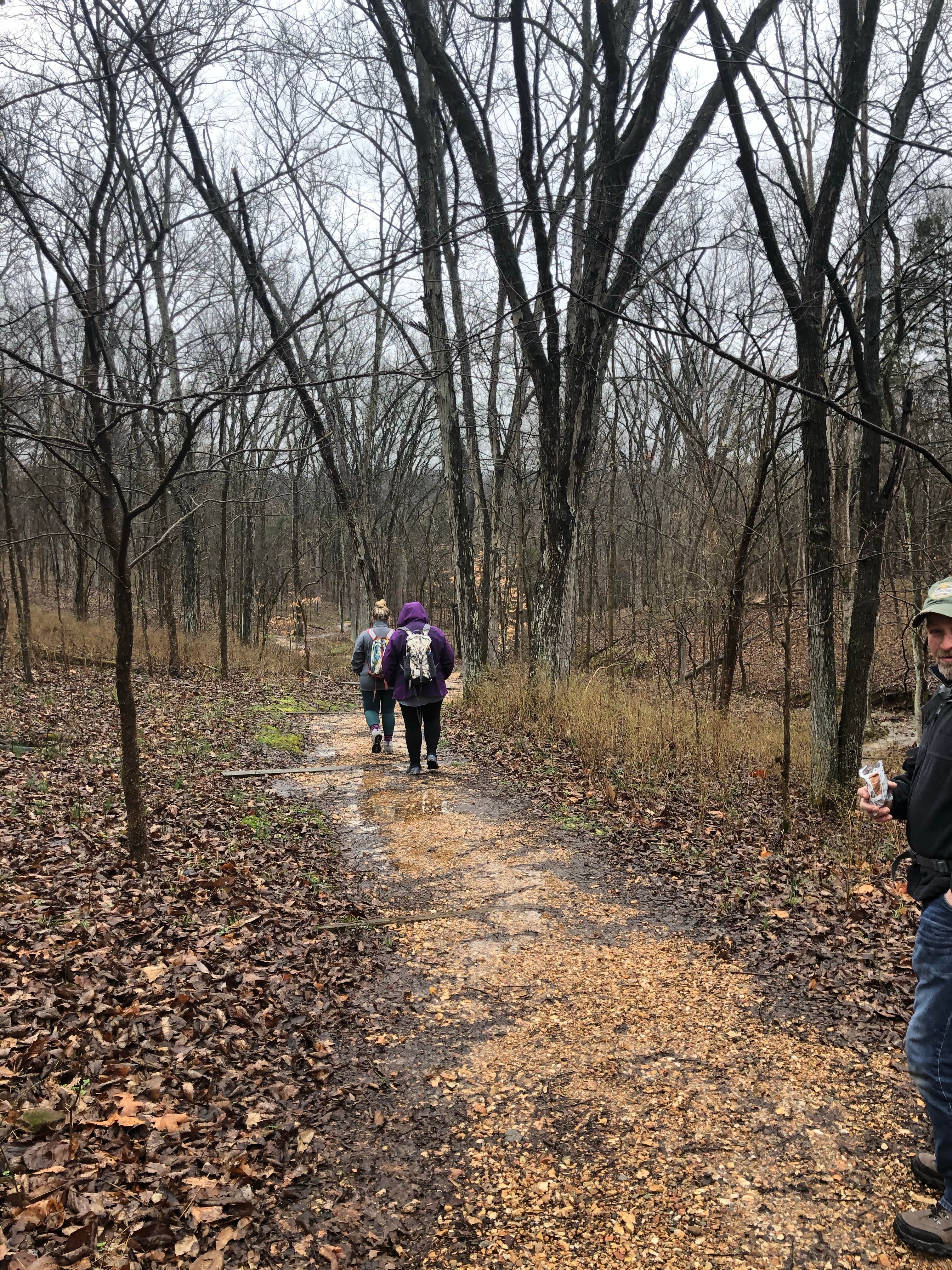 Camper submitted image from Deer Ridge Campground — Ferne Clyffe State Park - 5