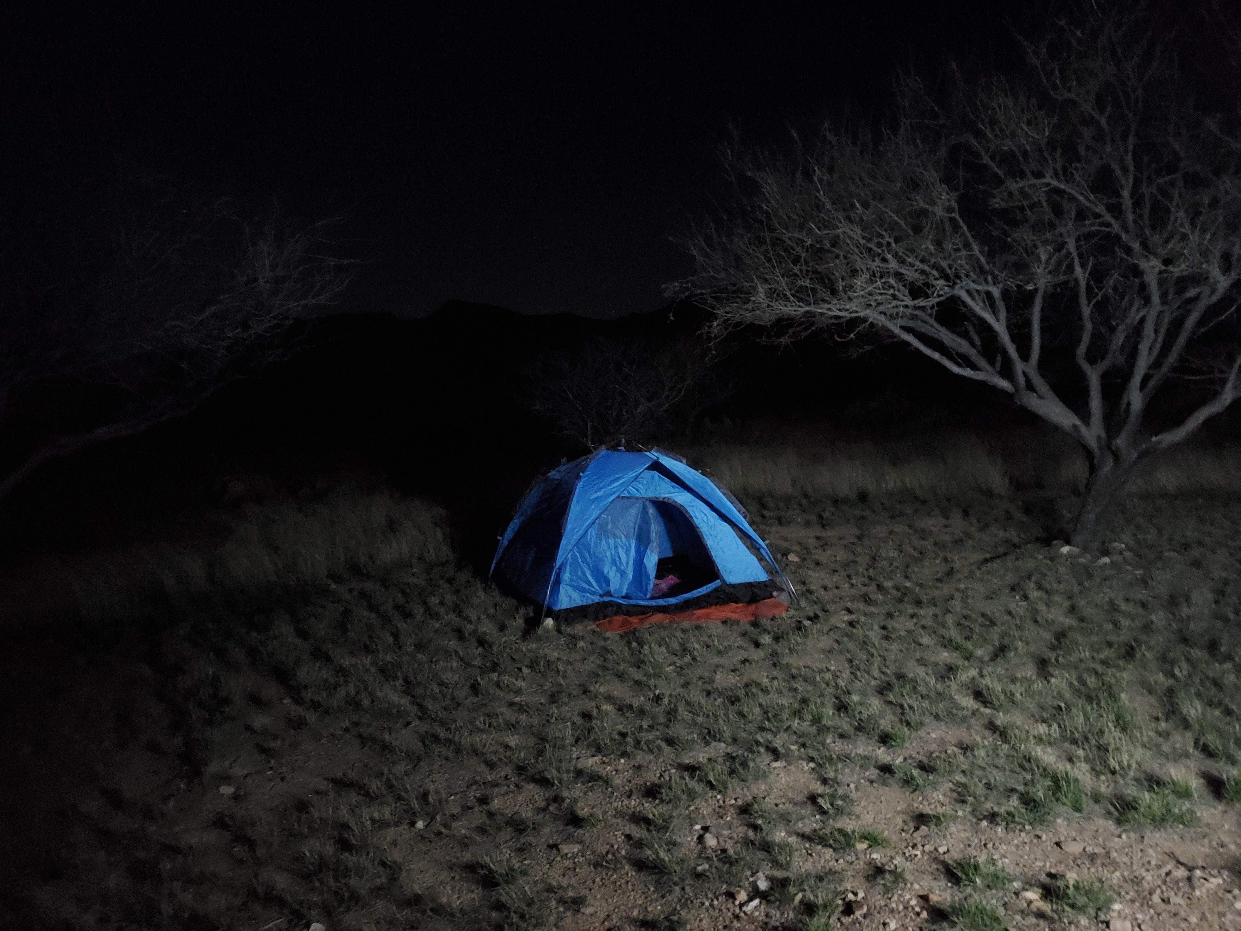 Camper submitted image from Kartchner Caverns State Park Campground - 3