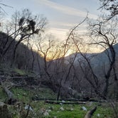 Review photo of Wishon Campground by Shea M., April 2, 2020