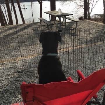 Bob V.'s photo of camping with pets at Fort Yargo State Park Campground near Carlton, GA