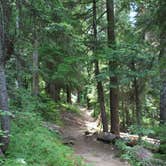 Review photo of Pete Lake Backcountry Camping by Megan C., September 8, 2017