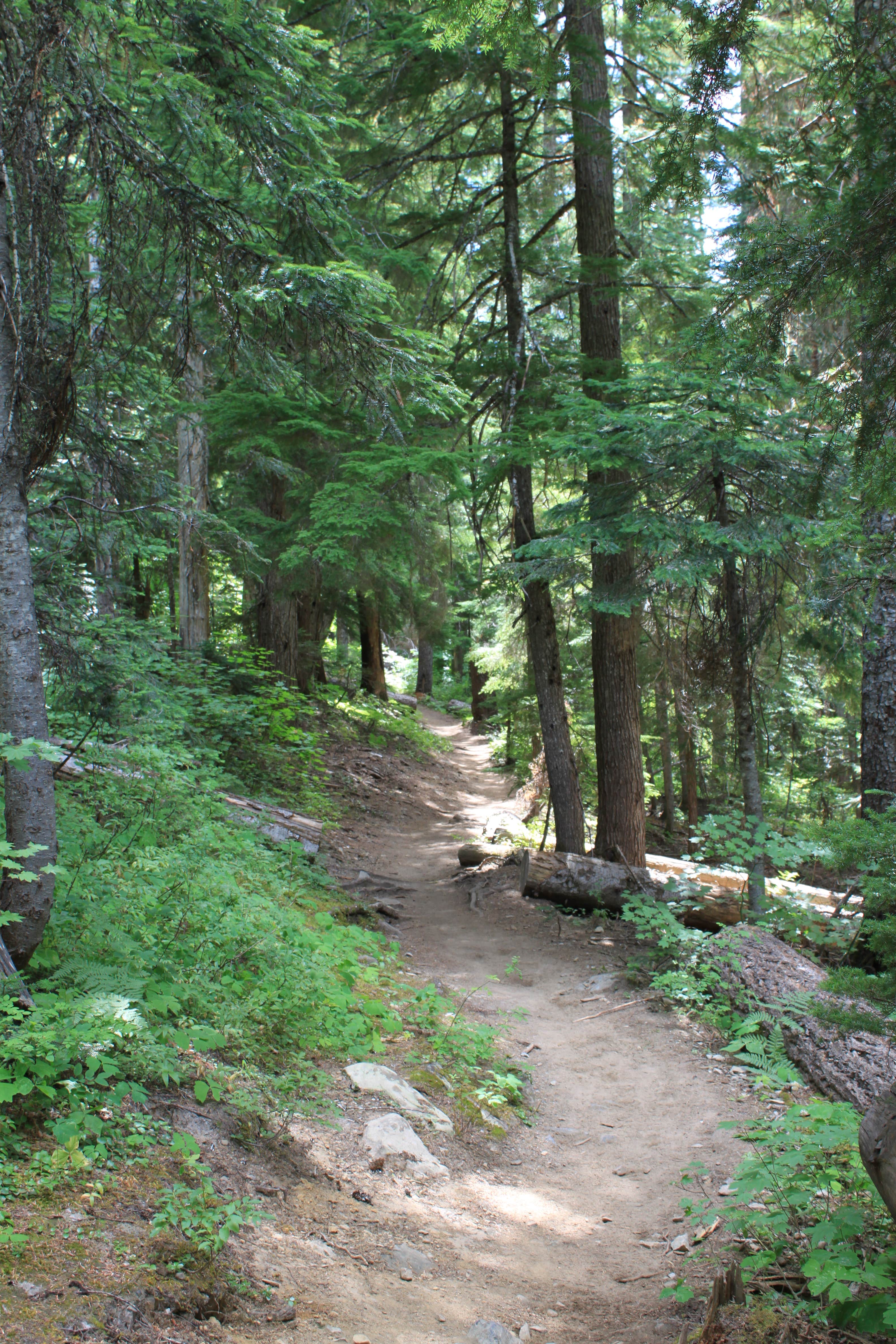 Camper submitted image from Pete Lake Backcountry Camping - 4