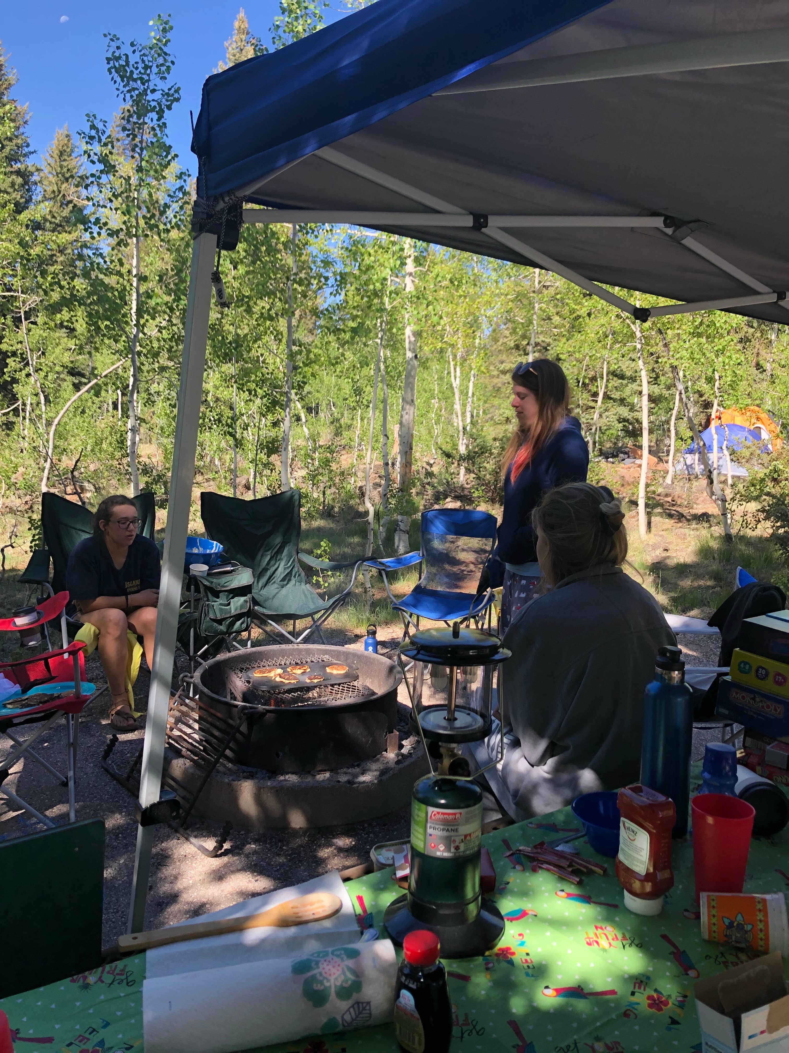 Cat N.'s photo at Duck Creek near Duck Creek Village, UT
