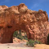 Review photo of Duck Creek by Cat N., April 3, 2020