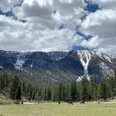 Review photo of McWilliams Campground by Cat N., April 3, 2020