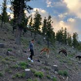 Review photo of McWilliams Campground by Cat N., April 3, 2020