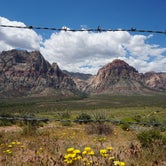 Review photo of Red Rock Canyon Campground by Cat N., April 3, 2020