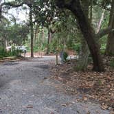 Review photo of Hunting Island State Park Campground by Shelly S., September 8, 2017