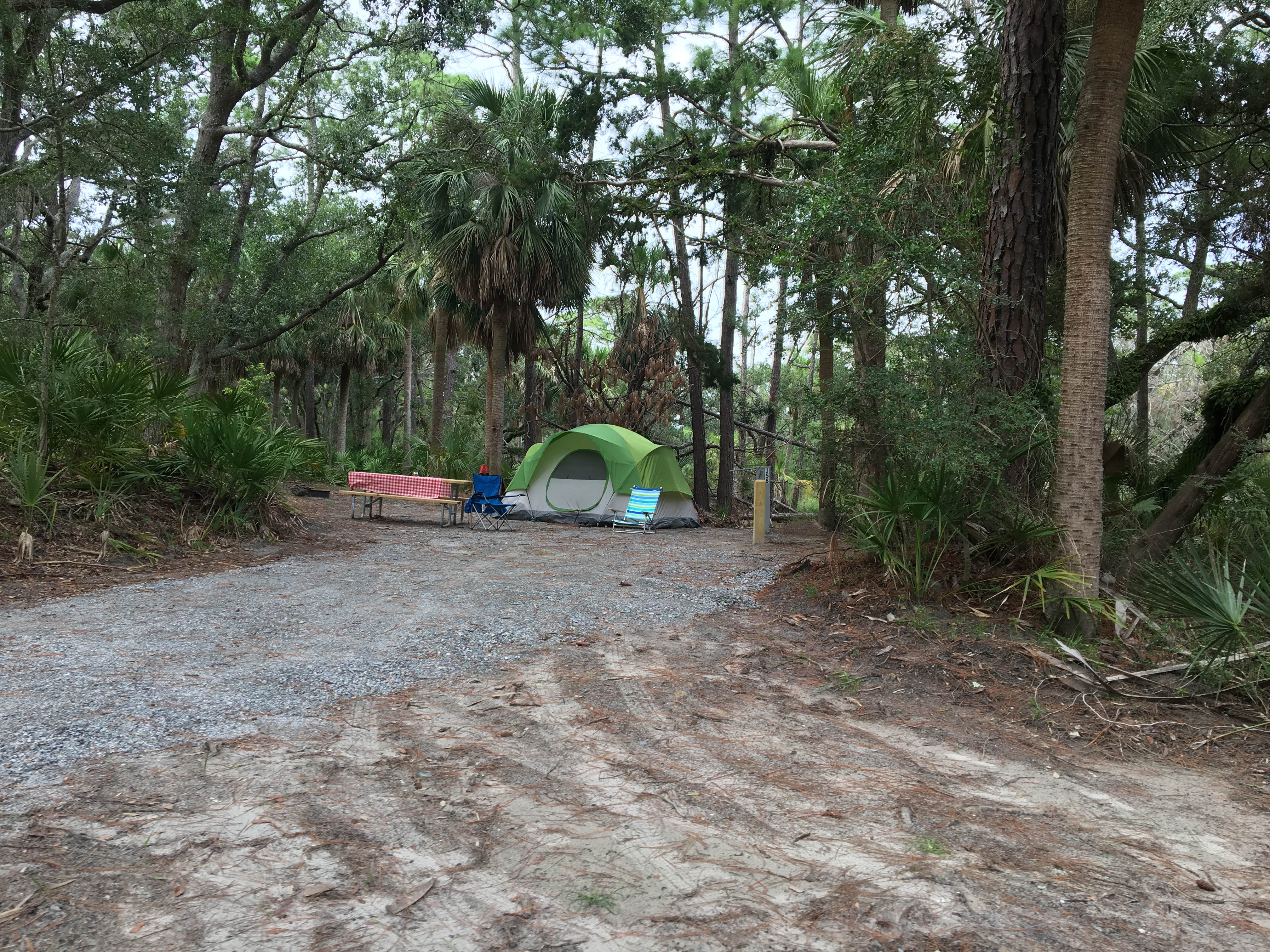 Shelly S.'s photo at Hunting Island State Park Campground near Meggett, SC