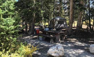 The Dyrt's photo at Forks Of Huntington near Castle Dale, UT