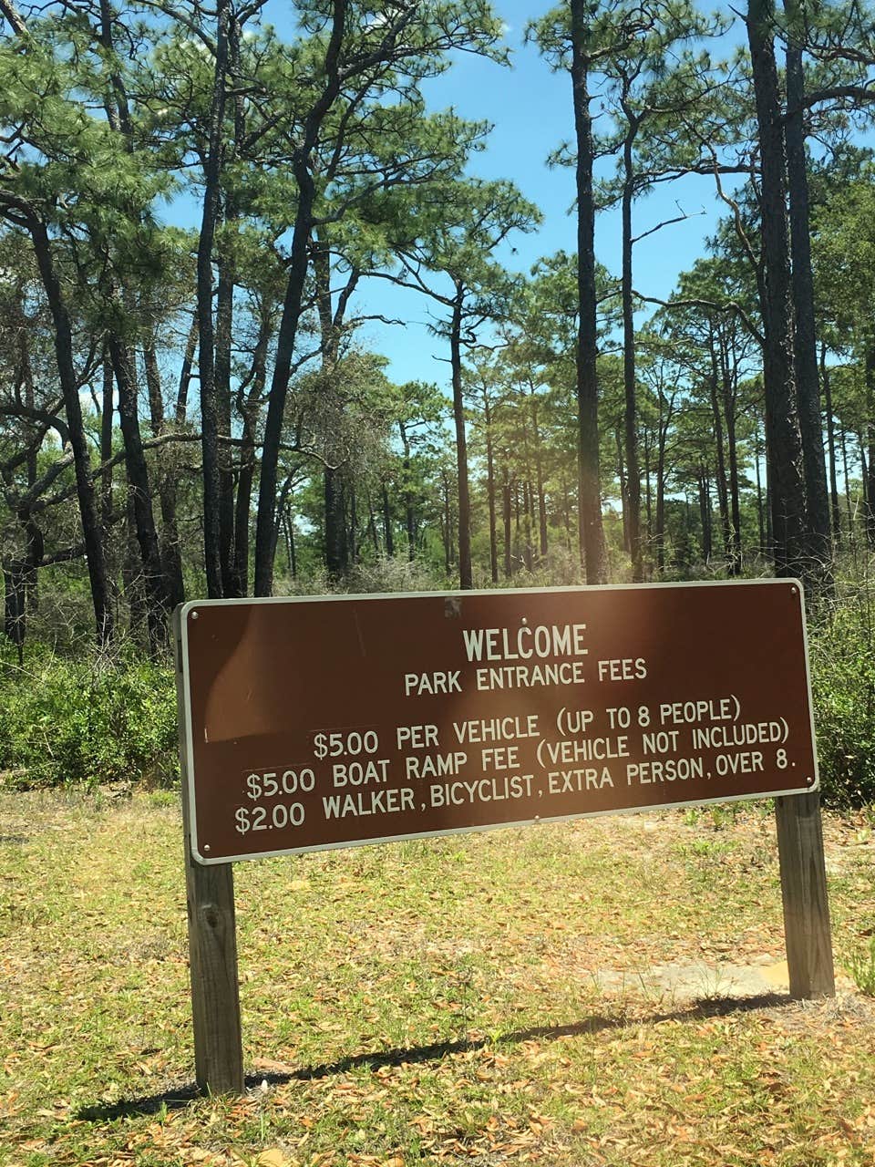Camper submitted image from Fred Gannon Rocky Bayou State Park Campground - 2