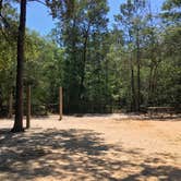 Review photo of Fred Gannon Rocky Bayou State Park Campground by Asher K., September 8, 2017