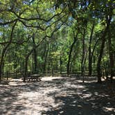 Review photo of Fred Gannon Rocky Bayou State Park Campground by Asher K., September 8, 2017