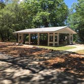 Review photo of Fred Gannon Rocky Bayou State Park Campground by Asher K., September 8, 2017