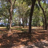 Review photo of Fred Gannon Rocky Bayou State Park Campground by Asher K., September 8, 2017