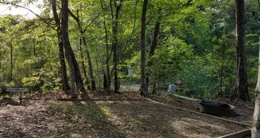 Dockside Bluff on the Lake