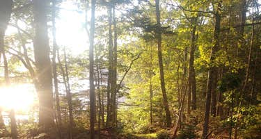 Medomak River Farm