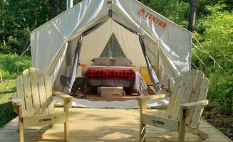 The Dyrt's photo at Beerocracy Colonial Camp near Branchport, NY
