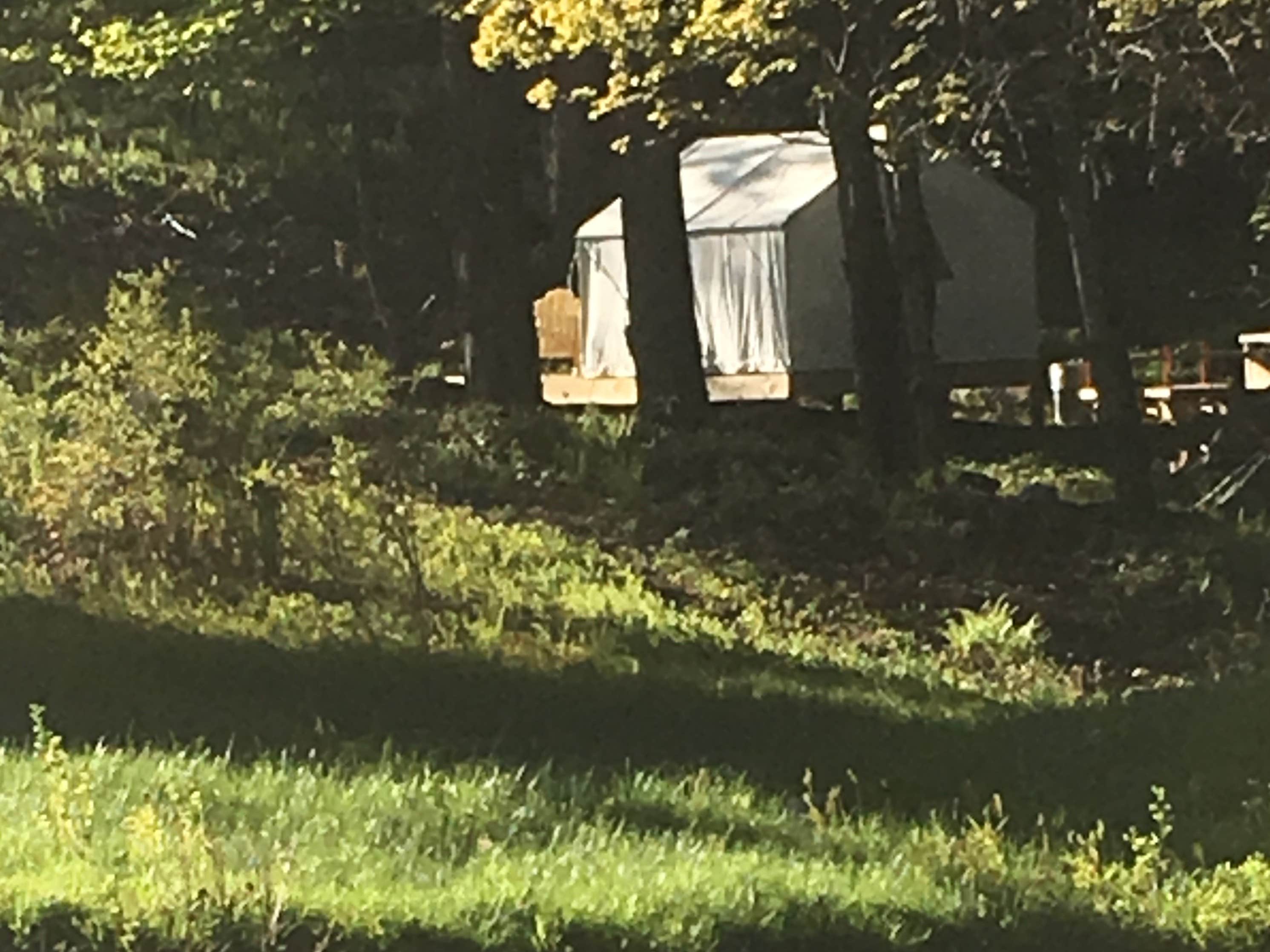 The Dyrt's photo at Tamarack at Running Fox Berry Farm near Woronoco, MA