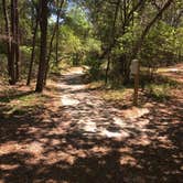 Review photo of Fred Gannon Rocky Bayou State Park Campground by Asher K., September 8, 2017
