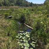 Review photo of Fred Gannon Rocky Bayou State Park Campground by Asher K., September 8, 2017