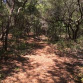 Review photo of Fred Gannon Rocky Bayou State Park Campground by Asher K., September 8, 2017