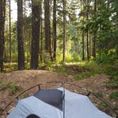 Review photo of Trout Creek by Fay M., September 8, 2017
