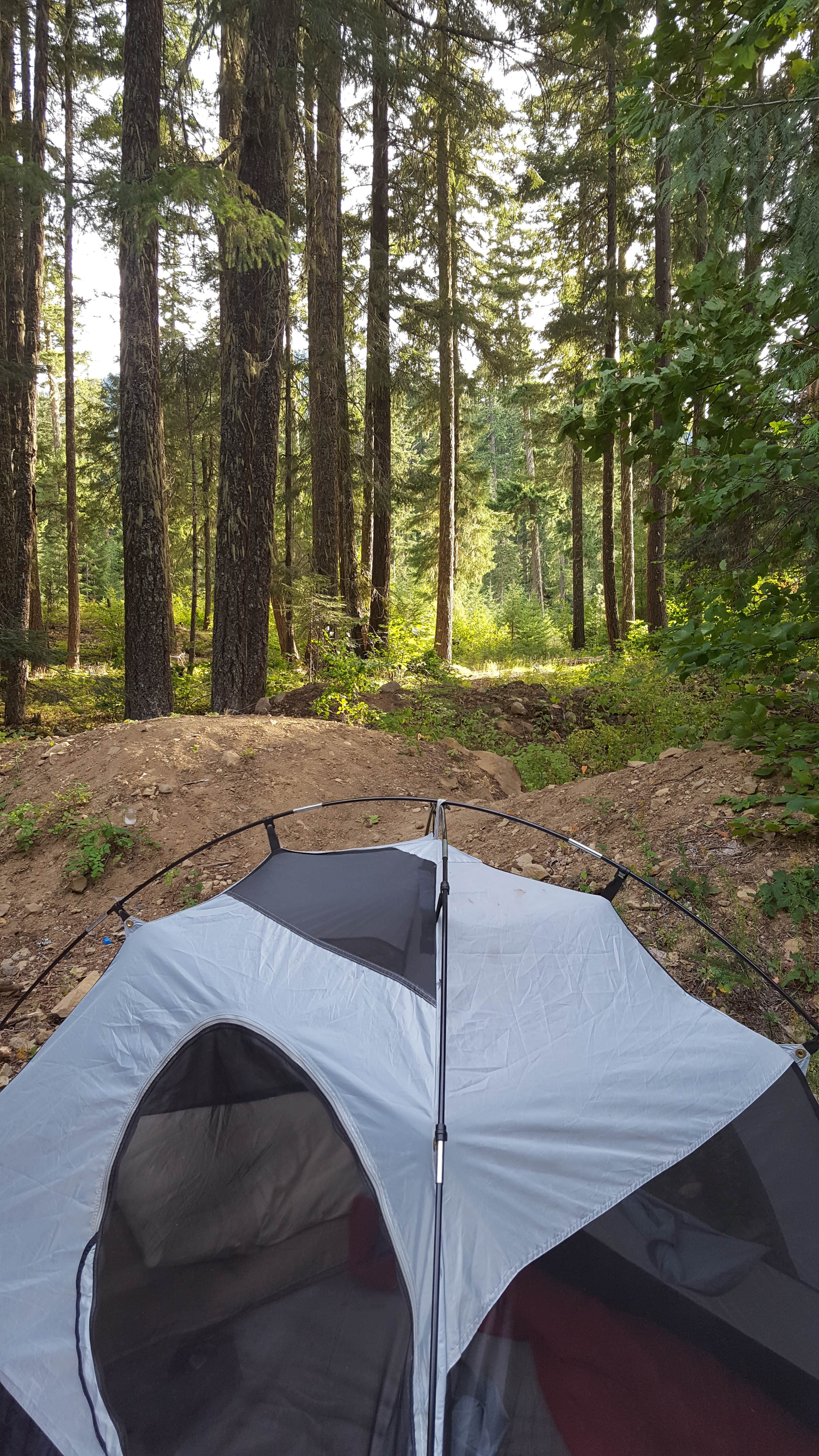 Camper submitted image from Trout Creek - 4