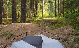 Fay M.'s photo at Trout Creek near Trout Lake, WA