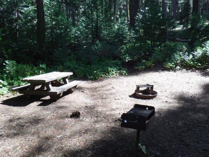 Camper submitted image from North Fork Campground - 5