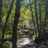 Review photo of Trout Creek by Fay M., September 8, 2017