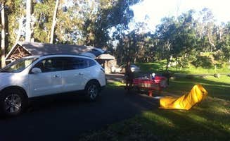 Sharon N.'s photo of rv camping at Nāmakanipaio Campground — Hawai'i Volcanoes National Park in Hawaii