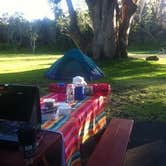 Review photo of Nāmakanipaio Campground — Hawai'i Volcanoes National Park by Sharon N., September 8, 2017