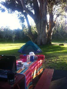 Camper submitted image from Nāmakanipaio Campground — Hawai'i Volcanoes National Park - 3